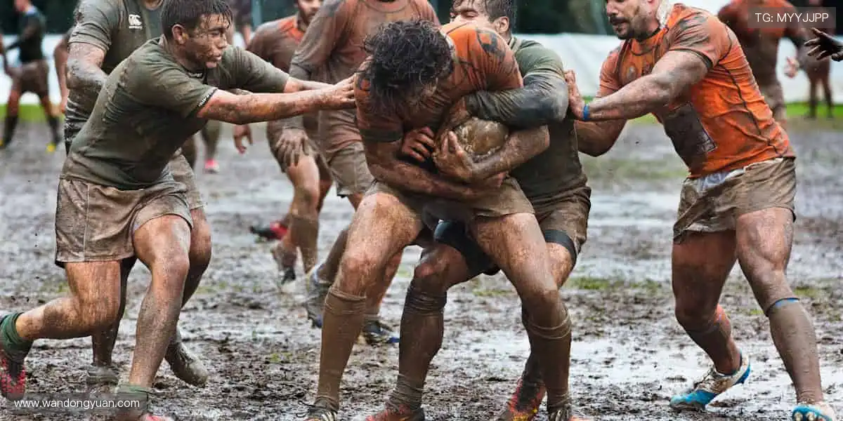 📺 实时解说，带你沉浸式感受赛场心跳！